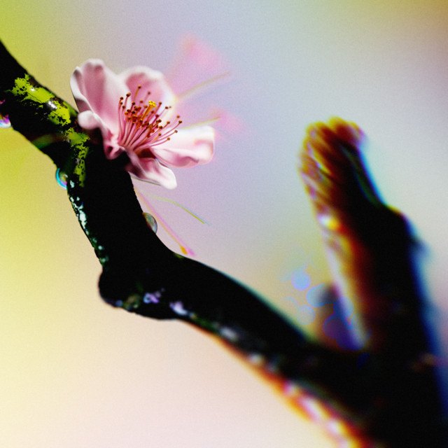 When You Leave – IDIDIT